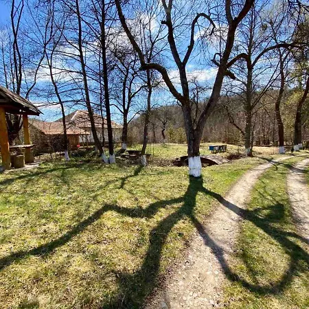 гаєнка мокра *