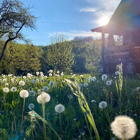 гаєнка мокра Tur'ya Paseka