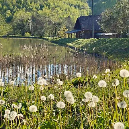 Casa vacanze гаєнка мокра Tur'ya Paseka