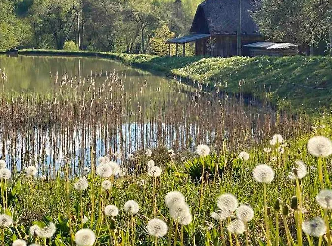 Ferienhaus гаєнка мокра Tur'ya Paseka